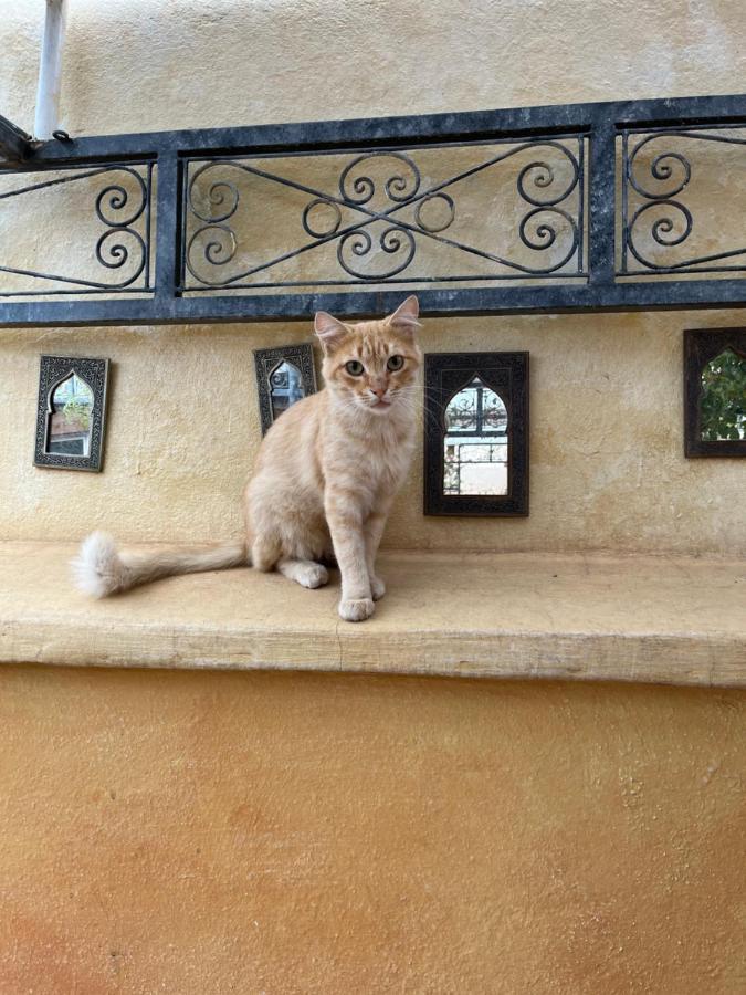 Riad Al Ibtikar Марракеш Екстер'єр фото